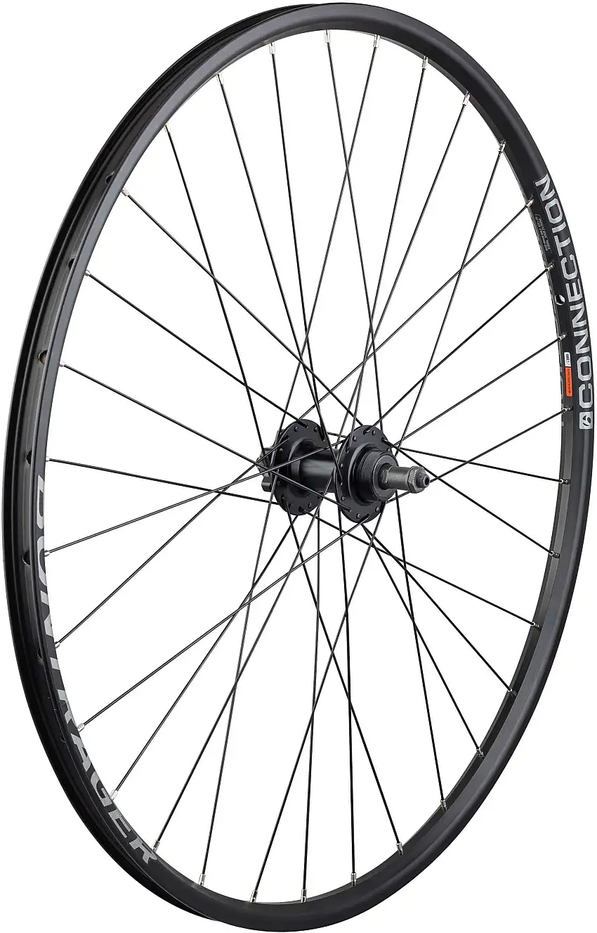 Bakhjul Bontrager Connection/DC31 Sv 29" IS frikrans