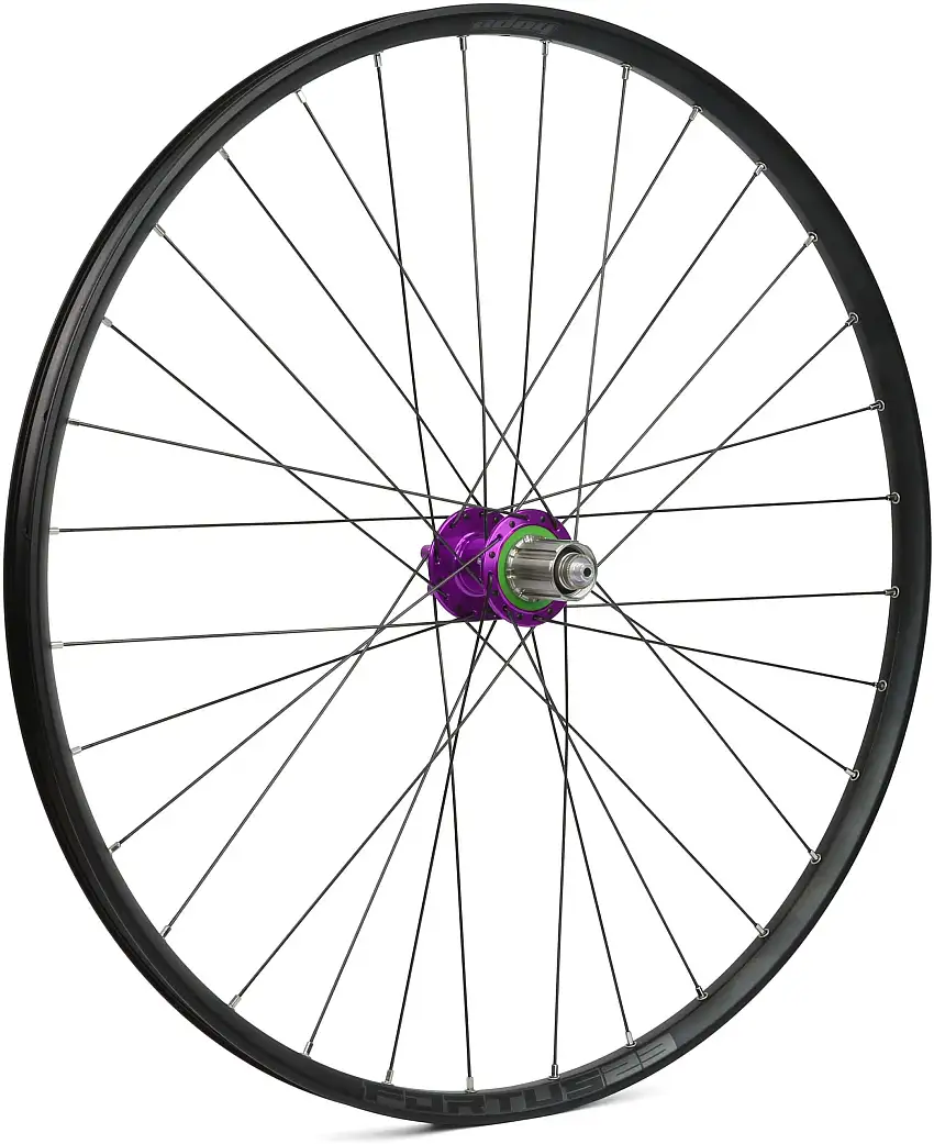 Bakhjul Hope Fortus 23 Pro 4 29" IS Shimano/SRAM stål lila