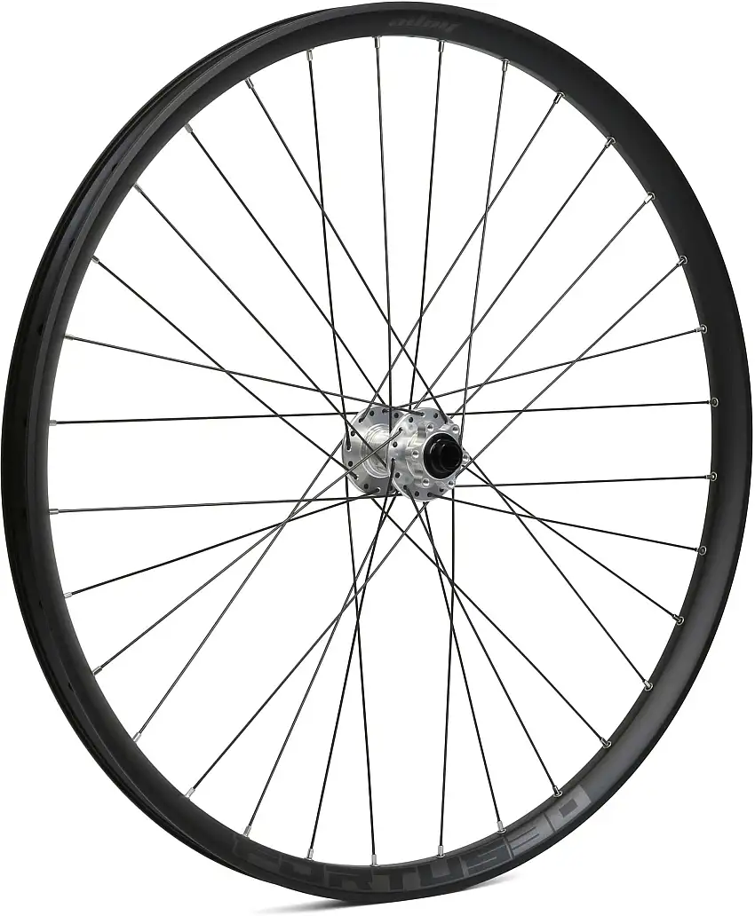 Framhjul Hope Fortus 30 Pro 4 29" IS 15 x 100 mm silver