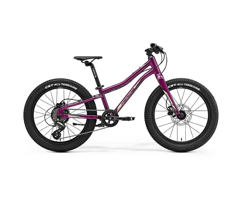 Barncykel Merida MATTS J.20+ lila/svart 20"