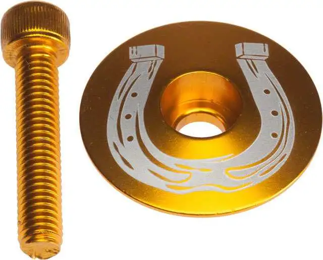 Täcklock Salsa Horsethief guld