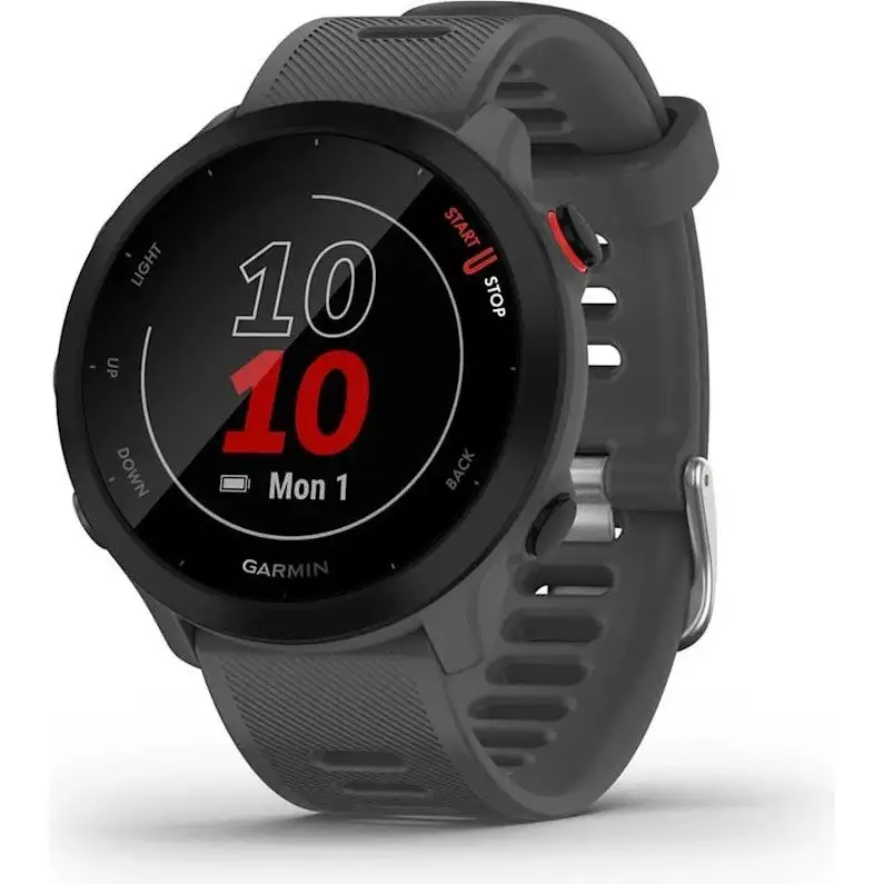 Träningsklocka Garmin Forerunner 55 Grå