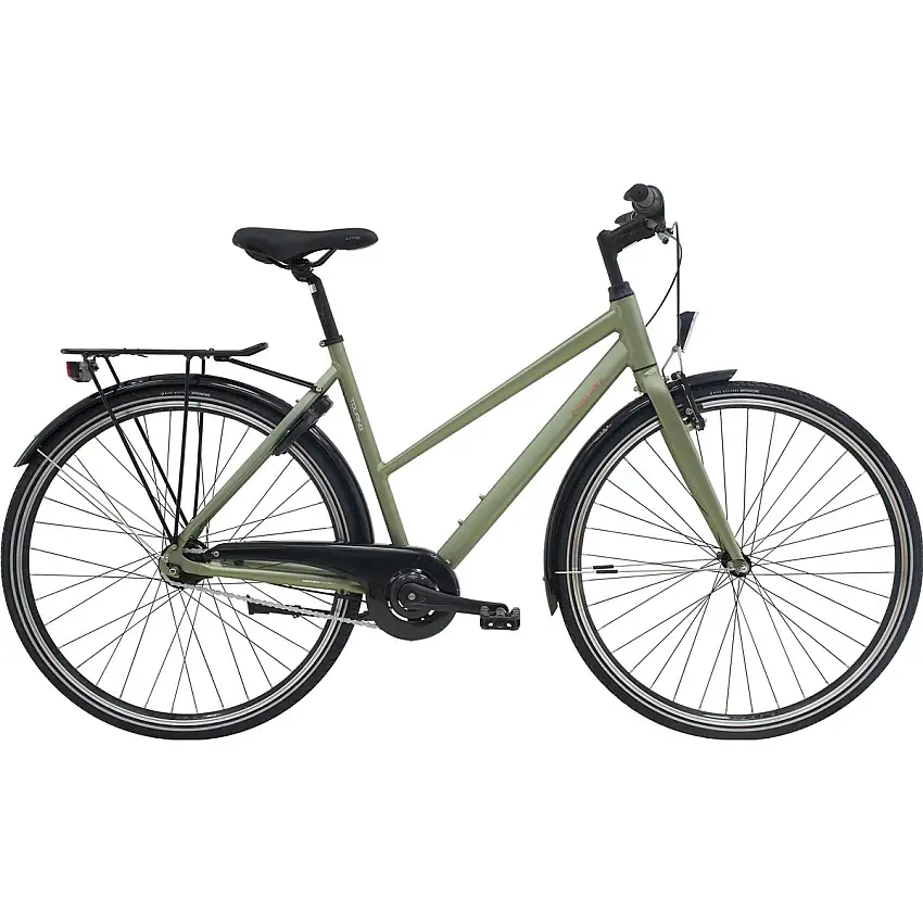 Cityhybrid Nishiki Touring Dam green