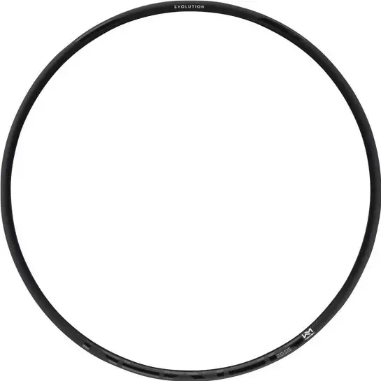 Fälg Newmen Evolution SL X.R.25 29" 28H Black