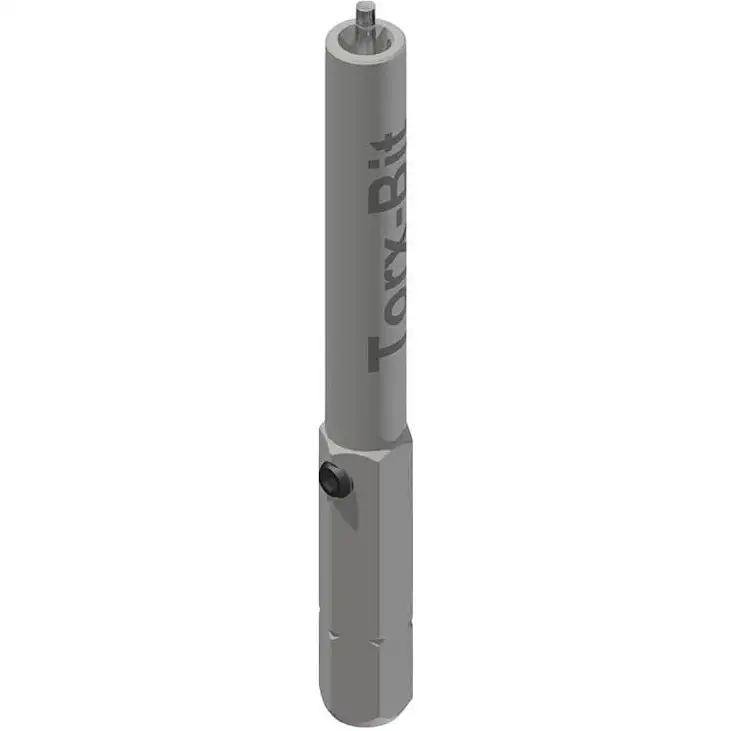 Torx-Bit DT Swiss Short Kit