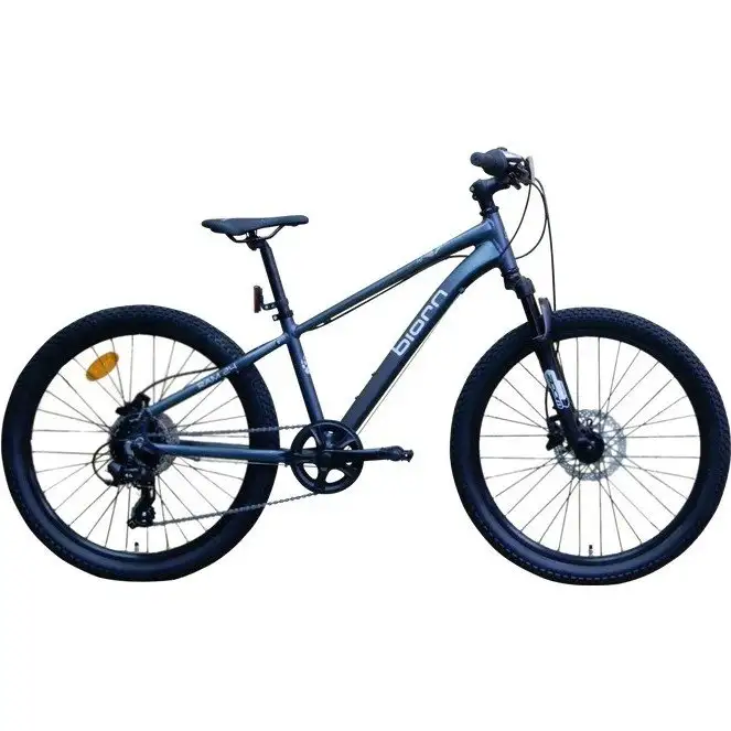 Barncykel Biorn RAM T-24" Flat Dark Grey